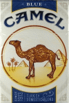 brand camel